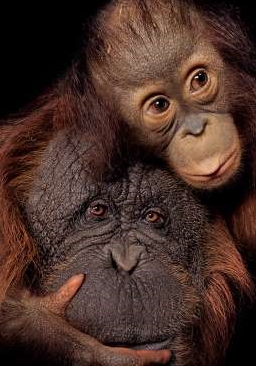 linked_in_happy_couple.jpg